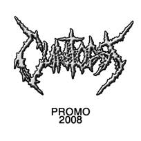 Cuntopsy : Promo 2008